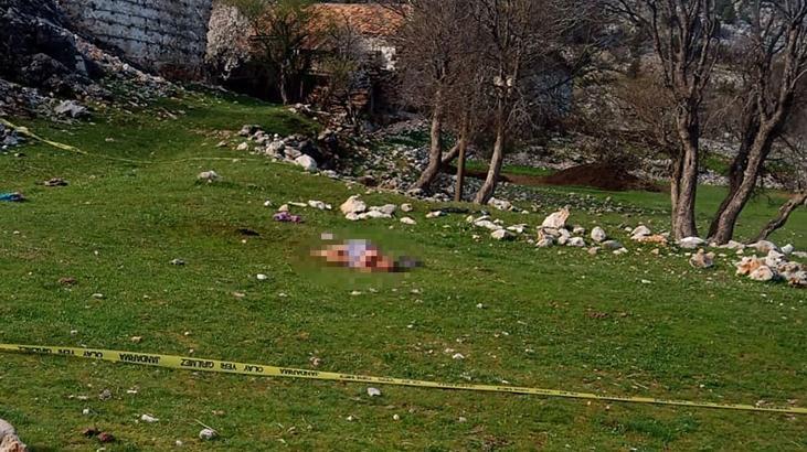 Antalya’da 3 köpeğinin saldırdığı 85 yaşındaki kadın öldü