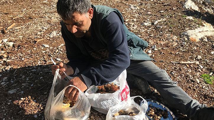 Kilosu 600 lira! Doğada nadir bulunuyor