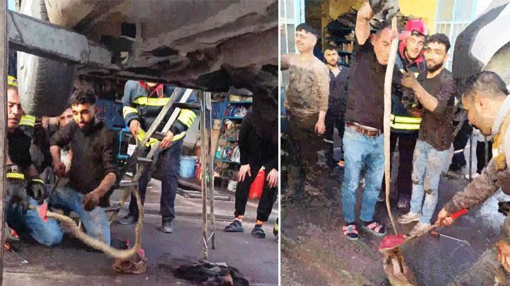 Aracın motoruna 1 metre 20 cm’lik yılan girdi, ekipler çıkardı