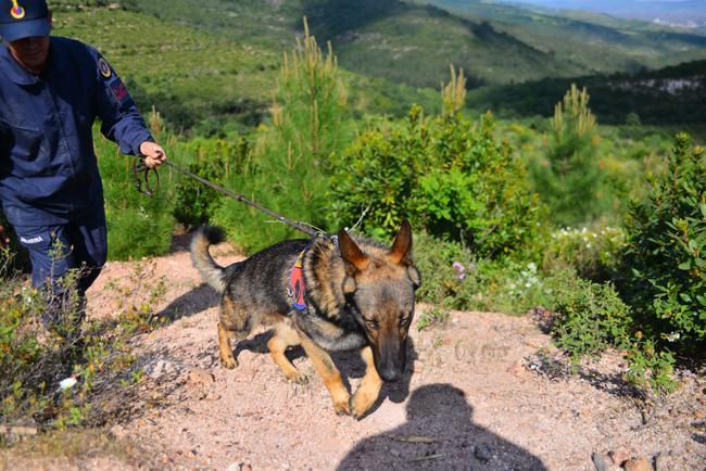 Korhan Berzeg ile ilgili önemli gelişme! Bulunan kemikler Berzeg'in kızıyla eşleşti