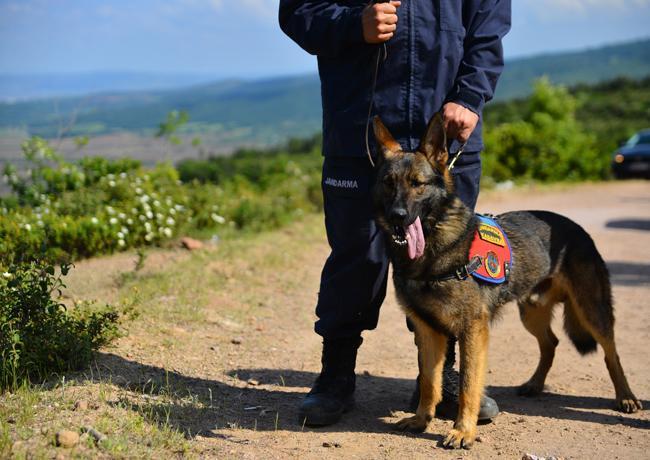 Korhan Berzeg ile ilgili önemli gelişme! Bulunan kemikler Berzeg'in kızıyla eşleşti