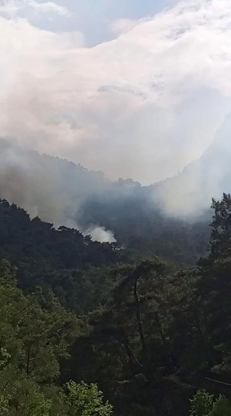 Kemer’de orman yangını! Müdahale devam ediyor