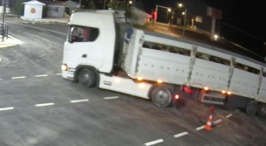 Durdurulan TIR’dan çıkan hayvanlar şoke etti! Aracın sahibine ceza yağdı
