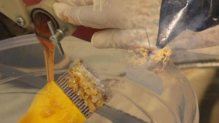 300 TL altında satılıyorsa dikkat: Tüketicinin sağlığıyla oynuyorlar!