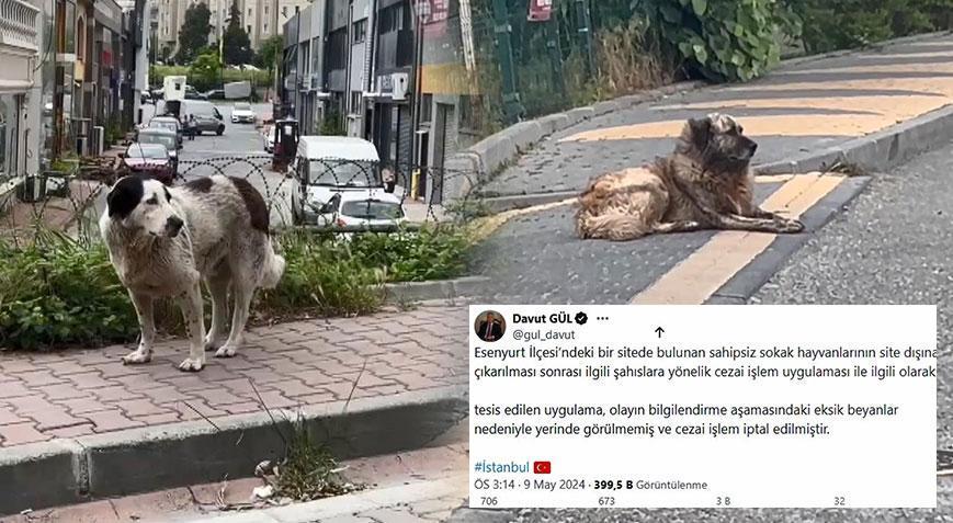 Sitedeki köpek tartışmasında kaymakamlığın kestiği 28 bin 864 liralık ceza iptal edildi!