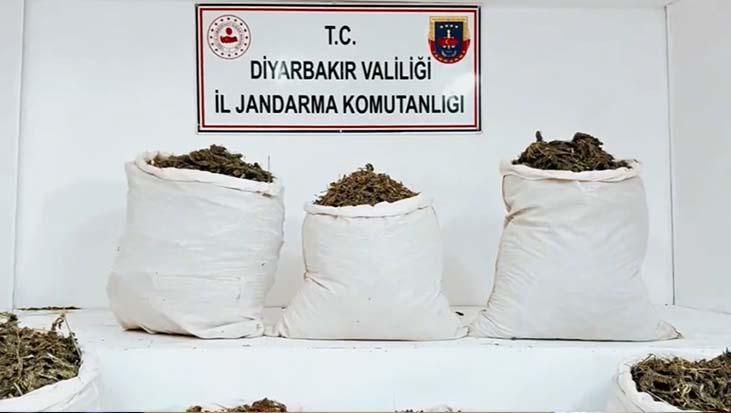 Diyarbakır’da Büyük Uyuşturucu Operasyonu: 25 Şüpheli Yakalandı