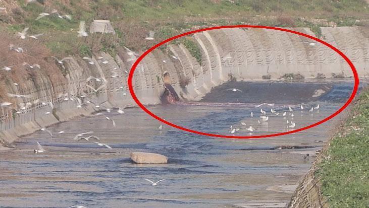 Çevre Felaketi: Esenyurt Haramidere Kırmızı Aktı, Mahalleli Tepkili