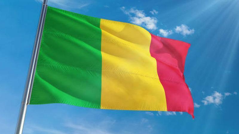 MALİ’DE SALDIRI: SAVUNMA BAKANI SİLİSİL ÇATIŞMADA HAYATINI KAYBETTİ