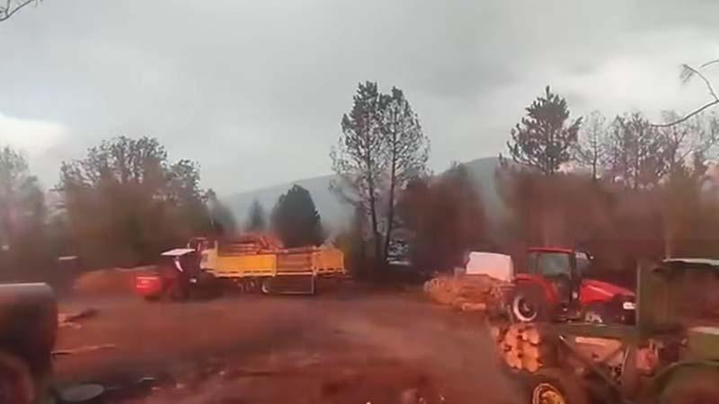 Ormanda Yıldırım Dehşeti: İşçiler Son Anda Kurtuldu!