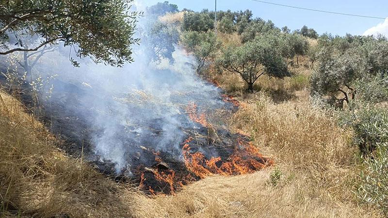 Yenipazar’daki yangın kontrol altına alındı: Soğutma çalışmaları sürüyor