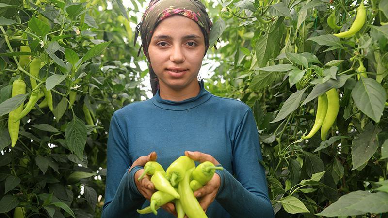 Kumluca biberinde fiyat farkı dikkat çekti: Halde 6-15 TL, markette 100 TL’ye kadar çıkıyor