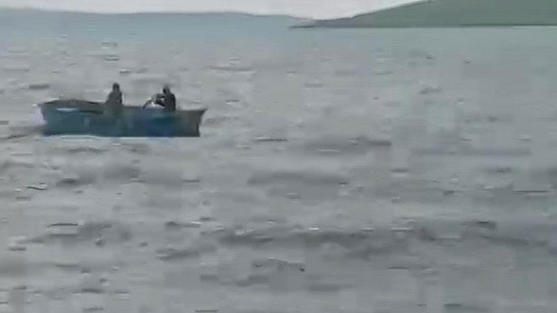 Çıldır Gölü’nde Suya Atlayan Buzağı Köylüler Tarafından Kurtarıldı