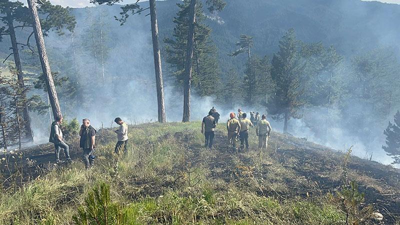 KASTAMONU’DA ORMAN YANGINI KONTROL ALTINA ALINDI