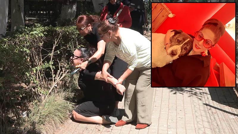 Barınakta öldüğü iddia edilen köpek için soruşturma çağrısı