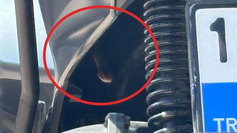 Motosikletine binecekti, içinden yılan çıktı