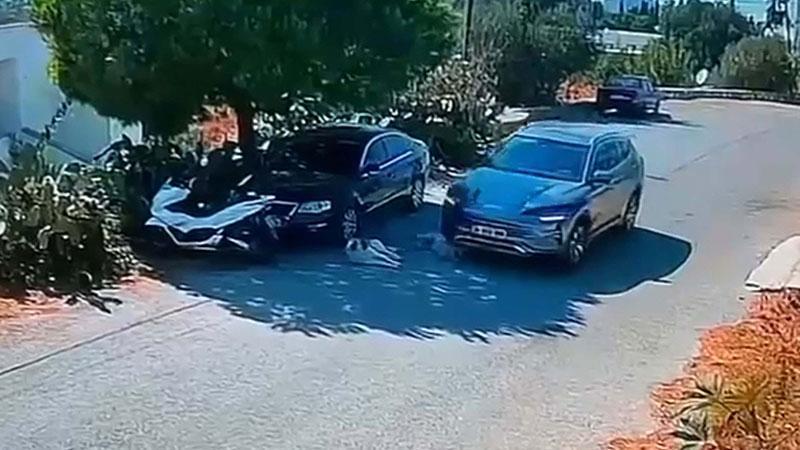 Bodrum’da İki Köpeğin Üzerinden Otomobille Geçti: Sürücü Aranıyor