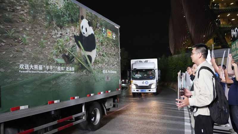 İki dev panda Çin’den ABD’ye doğru yola çıktı